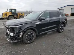 5XYRLDJC1RG276144 2024 KIA SORENTO