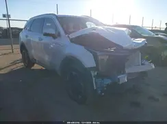 5XYRLDJC3RG302193 2024 KIA SORENTO