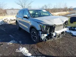 5XYRLDJC5RG255734 2024 KIA SORENTO