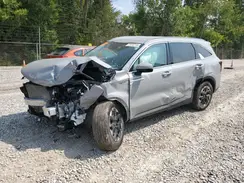 5XYRLDJC6RG260764 2024 KIA SORENTO