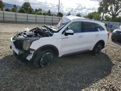 5XYRLDJC7RG289271 2024 KIA SORENTO