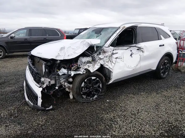 5XYRLDJC9RG262914 2024 KIA SORENTO - Image 2