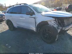 5XYRLDLC7PG209249 2023 KIA SORENTO