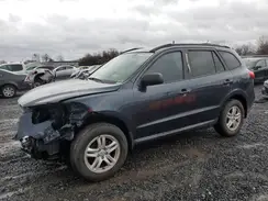 5XYZG3AB7BG013569 2021 HYUNDAI SANTA FE