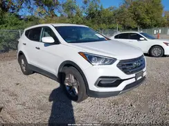 5XYZTDLB4HG423124 2017 HYUNDAI SANTA FE
