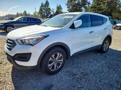5XYZTDLB7GG339894 2016 HYUNDAI SANTA FE
