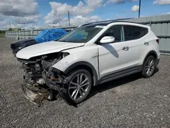 5XYZUDLA8HG422756 2017 HYUNDAI SANTA FE