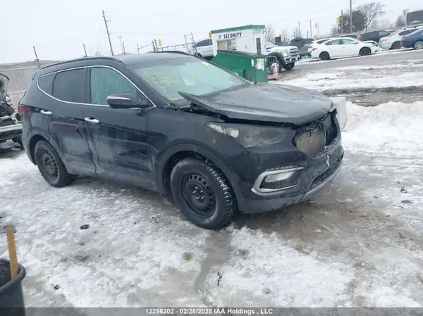 5XYZUDLB2HG391786 2017 HYUNDAI SANTA FE - Image 1