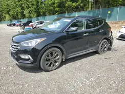 5XYZWDLA1HG502023 2017 HYUNDAI SANTA FE
