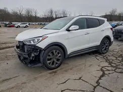 5XYZWDLA4HG387319 2017 HYUNDAI SANTA FE