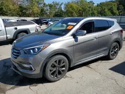 5XYZWDLA8HG489562 2017 HYUNDAI SANTA FE