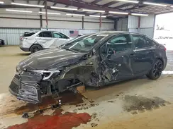 5YFB4MCE7SP236598 2025 TOYOTA COROLLA
