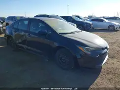 5YFB4MDE0PP061598 2023 TOYOTA COROLLA
