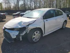5YFB4MDE1PP002110 2023 TOYOTA COROLLA