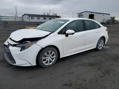 5YFB4MDE1RP151538 2024 TOYOTA COROLLA