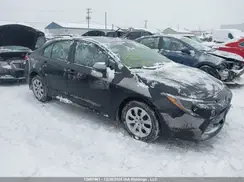 5YFB4MDE1RP206036 2024 TOYOTA COROLLA