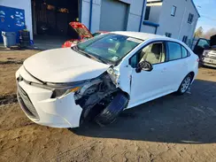 5YFB4MDE2PP000317 2023 TOYOTA COROLLA