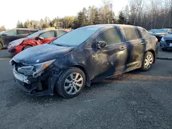 5YFB4MDE2PP004948 2023 TOYOTA COROLLA