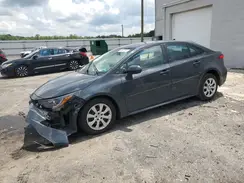 5YFB4MDE2RP080558 2024 TOYOTA COROLLA