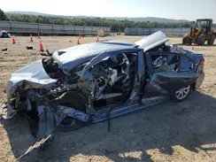 5YFB4MDE2RP103952 2024 TOYOTA COROLLA