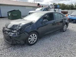 5YFB4MDE2RP142444 2024 TOYOTA COROLLA