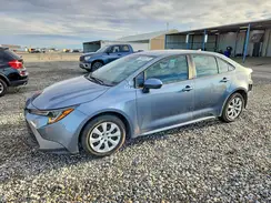 5YFB4MDE2RP182944 2024 TOYOTA COROLLA