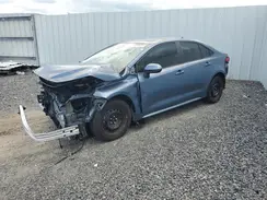 5YFB4MDE2RP189005 2024 TOYOTA COROLLA