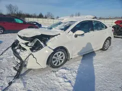 5YFB4MDE2RP217532 2024 TOYOTA COROLLA