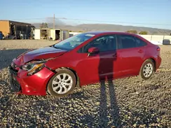 5YFB4MDE2RP218552 2024 TOYOTA COROLLA