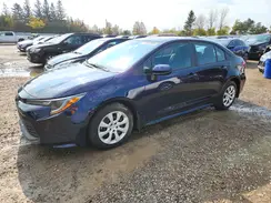 5YFB4MDE2SP302358 2025 TOYOTA COROLLA