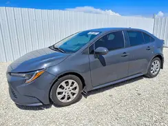 5YFB4MDE2SP335277 2025 TOYOTA COROLLA