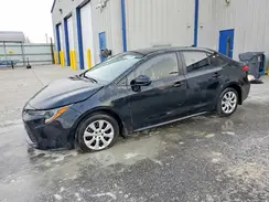 5YFB4MDE2SP338194 2025 TOYOTA COROLLA