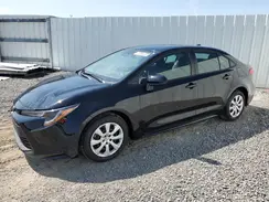 5YFB4MDE3RP141142 2024 TOYOTA COROLLA