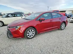 5YFB4MDE3SP234426 2025 TOYOTA COROLLA