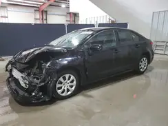 5YFB4MDE4PP033075 2023 TOYOTA COROLLA