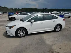 5YFB4MDE5RP198359 2024 TOYOTA COROLLA