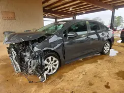 5YFB4MDE5TP380389 2026 TOYOTA COROLLA