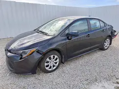 5YFB4MDE5TP400964 2026 TOYOTA COROLLA