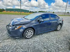 5YFB4MDE6SP356990 2025 TOYOTA COROLLA