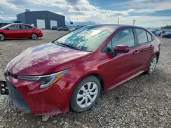 5YFB4MDE7TP423775 2026 TOYOTA COROLLA
