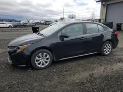 5YFB4MDE8PP011144 2023 TOYOTA COROLLA