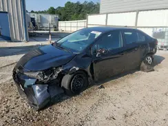 5YFB4MDE8RP169227 2024 TOYOTA COROLLA