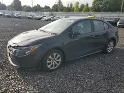 5YFB4MDE8SP256258 2025 TOYOTA COROLLA