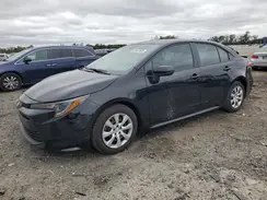 5YFB4MDE8SP343156 2025 TOYOTA COROLLA
