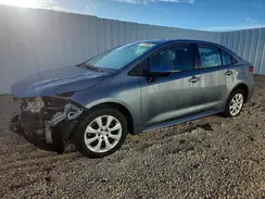 5YFB4MDE9SP236519 2025 TOYOTA COROLLA