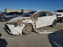 5YFB4MDEXPP010061 2023 TOYOTA COROLLA