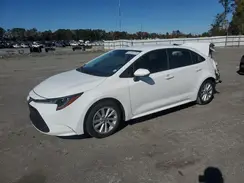 5YFB4MDEXRP113810 2024 TOYOTA COROLLA