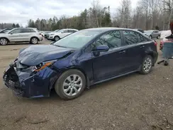 5YFB4MDEXTP412818 2026 TOYOTA COROLLA