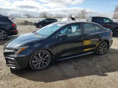 5YFB4RBE3LP008016 2020 TOYOTA COROLLA