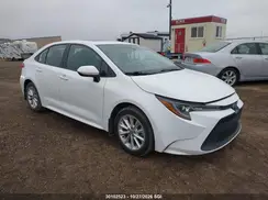 5YFBPRBE9LP050164 2020 TOYOTA COROLLA